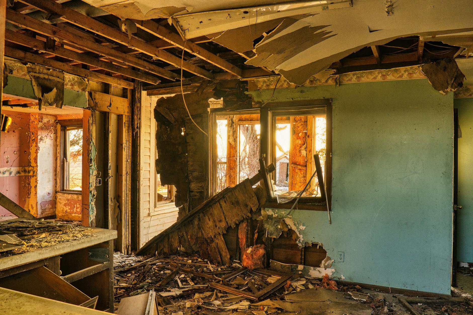 Mold Removal Mold Gallery Sarasota